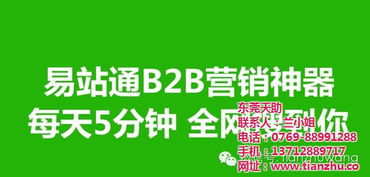 东莞天助网络推广策略 实现霸屏效果的全方位指南